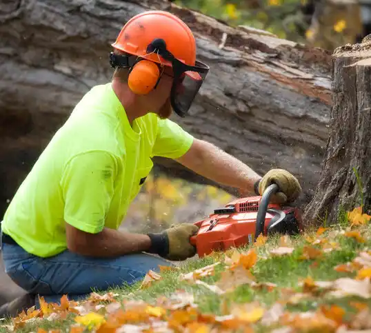 tree services Belmont